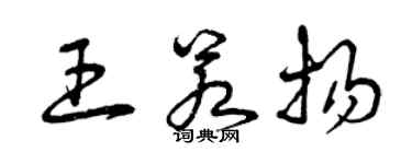 曾慶福王若揚草書個性簽名怎么寫