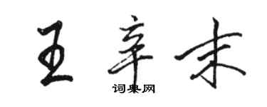 駱恆光王辛末行書個性簽名怎么寫