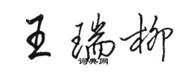 駱恆光王瑞柳行書個性簽名怎么寫
