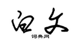 朱錫榮白文草書個性簽名怎么寫