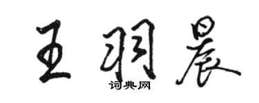 駱恆光王羽晨行書個性簽名怎么寫