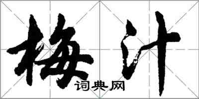 胡問遂梅汁行書怎么寫