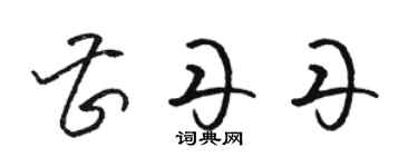 駱恆光曹丹丹草書個性簽名怎么寫