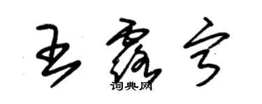 朱錫榮王露寧草書個性簽名怎么寫