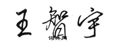 駱恆光王智宇行書個性簽名怎么寫