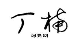 朱錫榮丁楠草書個性簽名怎么寫
