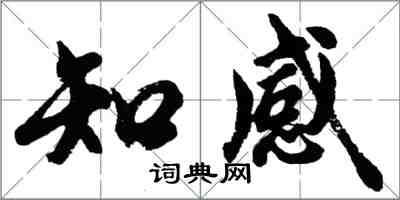 胡問遂知感行書怎么寫