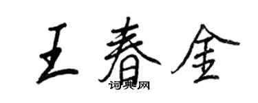 王正良王春金行書個性簽名怎么寫