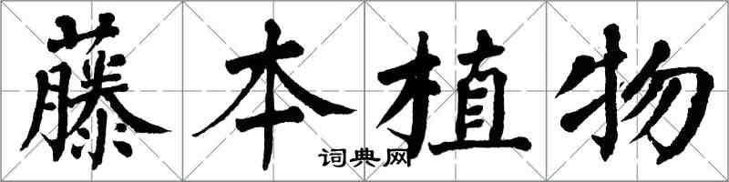 翁闓運藤本植物楷書怎么寫