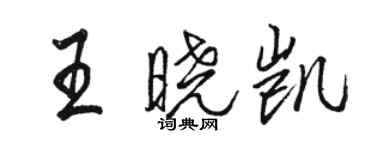 駱恆光王曉凱行書個性簽名怎么寫