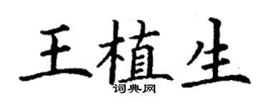 丁謙王植生楷書個性簽名怎么寫