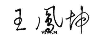 駱恆光王鳳坤草書個性簽名怎么寫