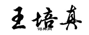 胡問遂王培真行書個性簽名怎么寫
