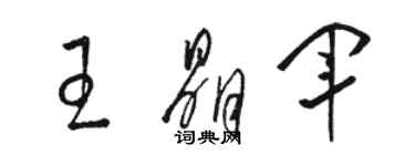 駱恆光王晶軍草書個性簽名怎么寫