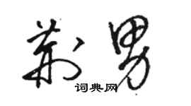 駱恆光荊男草書個性簽名怎么寫