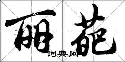 胡問遂麗葩行書怎么寫