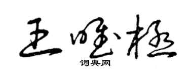 曾慶福王唯極草書個性簽名怎么寫
