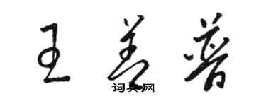 駱恆光王善普草書個性簽名怎么寫