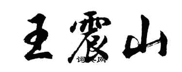 胡問遂王震山行書個性簽名怎么寫