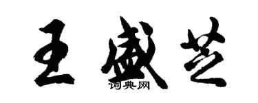 胡問遂王盛芝行書個性簽名怎么寫