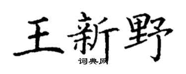 丁謙王新野楷書個性簽名怎么寫