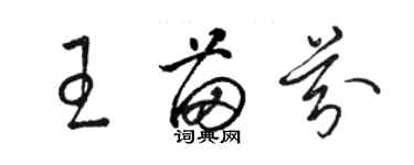 駱恆光王苗芬草書個性簽名怎么寫