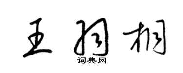 梁錦英王羽桐草書個性簽名怎么寫