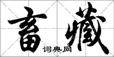 胡問遂畜藏行書怎么寫