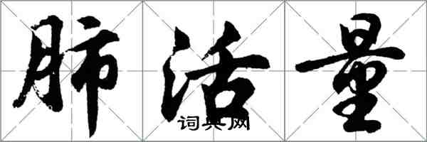 胡問遂肺活量行書怎么寫