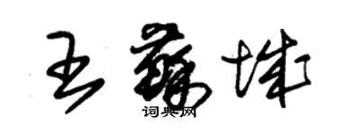 朱錫榮王蘇城草書個性簽名怎么寫