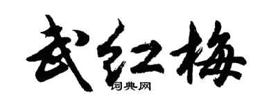 胡問遂武紅梅行書個性簽名怎么寫