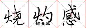 段相林燒灼感行書怎么寫