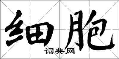 翁闓運細胞楷書怎么寫