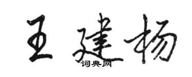 駱恆光王建楊行書個性簽名怎么寫