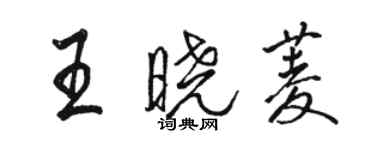 駱恆光王曉菱行書個性簽名怎么寫