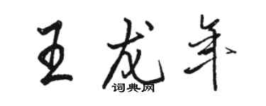 駱恆光王龍年行書個性簽名怎么寫