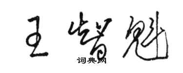 駱恆光王智魁草書個性簽名怎么寫