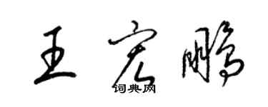 梁錦英王宏鵬草書個性簽名怎么寫