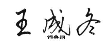 駱恆光王成冬行書個性簽名怎么寫