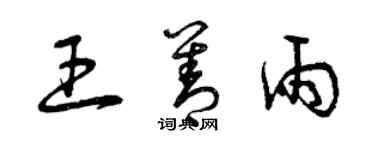 曾慶福王善雨草書個性簽名怎么寫