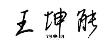 王正良王坤能行書個性簽名怎么寫