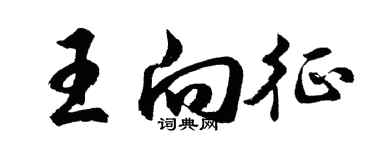 胡問遂王向征行書個性簽名怎么寫