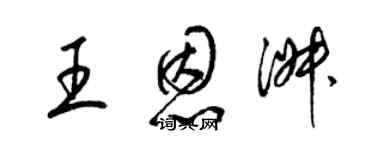 梁錦英王恩淑草書個性簽名怎么寫