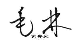 駱恆光毛林草書個性簽名怎么寫