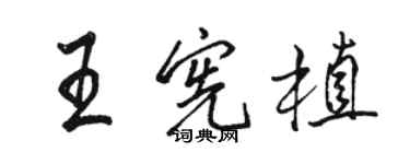 駱恆光王憲植行書個性簽名怎么寫