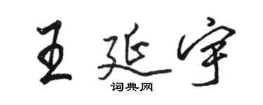 駱恆光王延宇行書個性簽名怎么寫