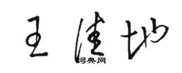 駱恆光王佳地草書個性簽名怎么寫