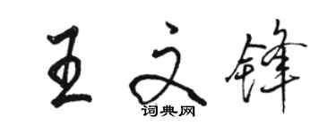 駱恆光王文鋒行書個性簽名怎么寫