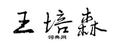 曾慶福王培森行書個性簽名怎么寫