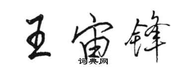 駱恆光王宙鋒行書個性簽名怎么寫